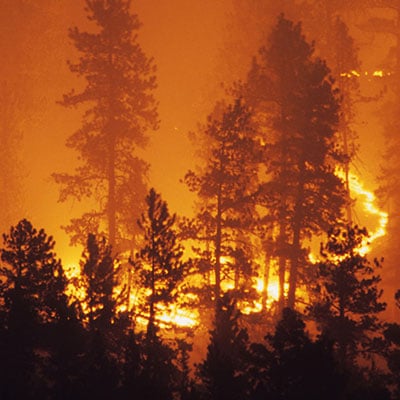 wildland fires